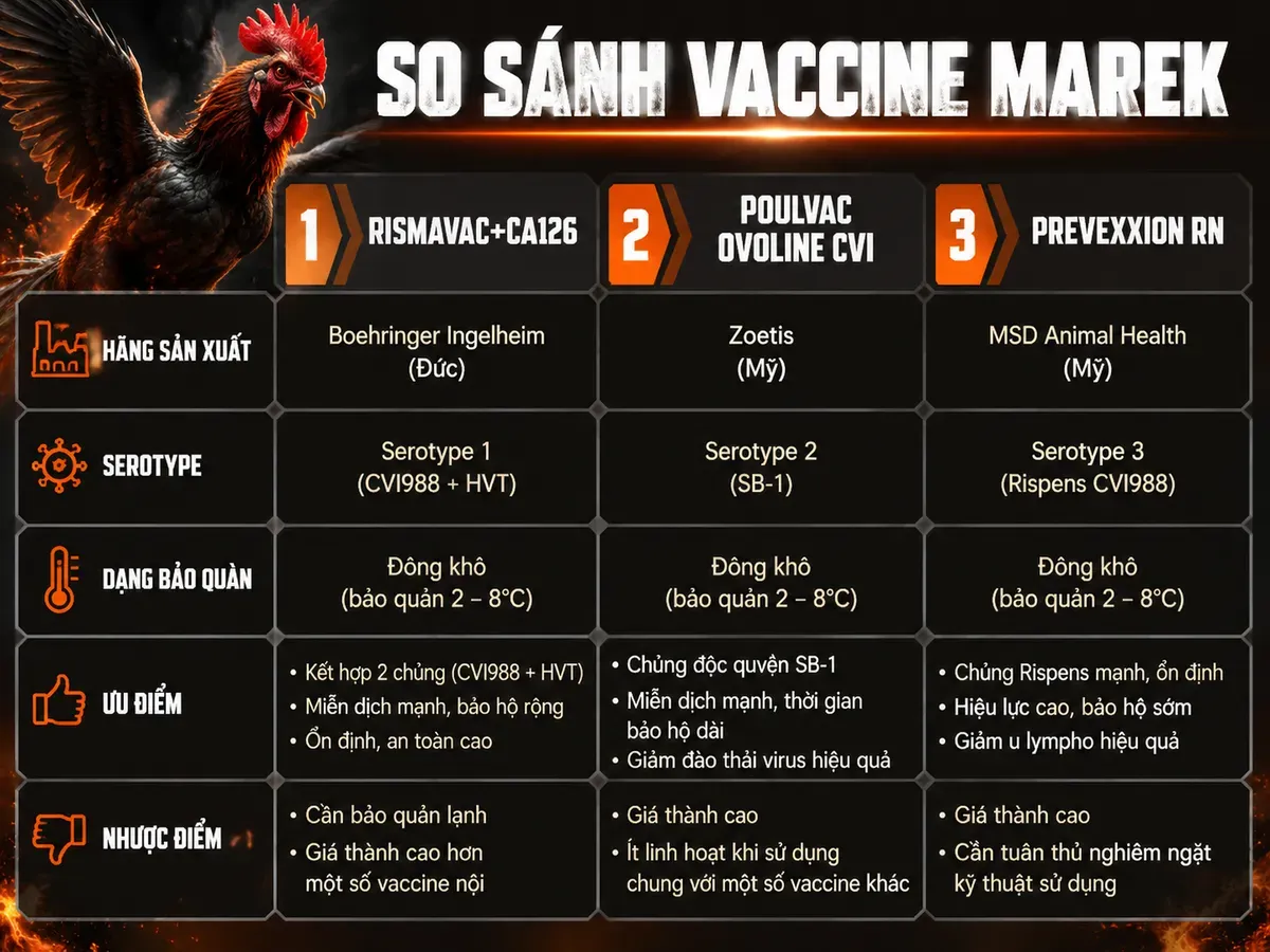 So sánh trực quan 3 loại vaccine Marek cho gà con, hiển thị ưu nhược điểm và serotype