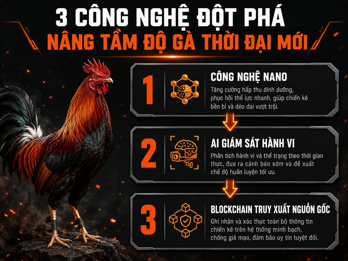 Xu hướng ứng dụng thảo dược và công nghệ trong nuôi gà chiến Việt Nam