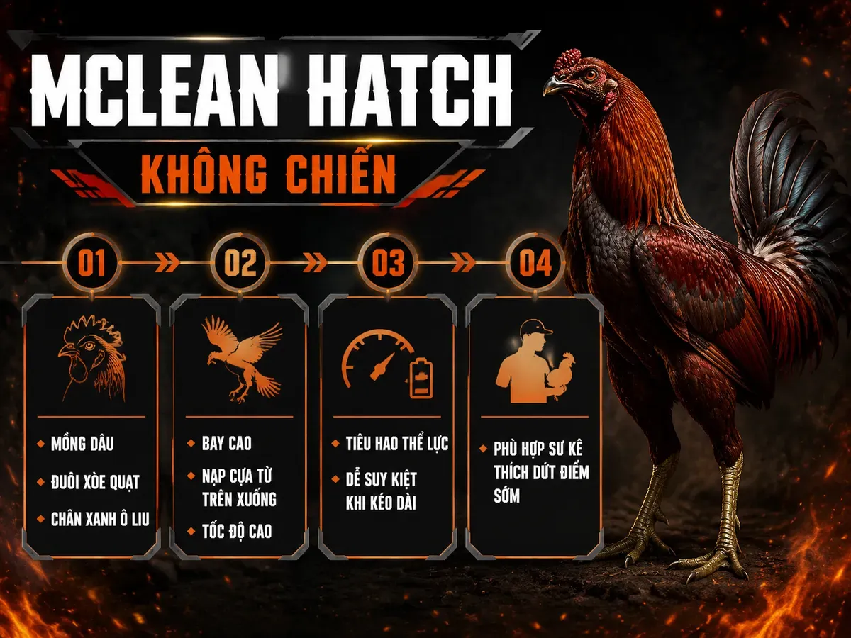 Nhánh McLean Hatch — "Vua Không Chiến"