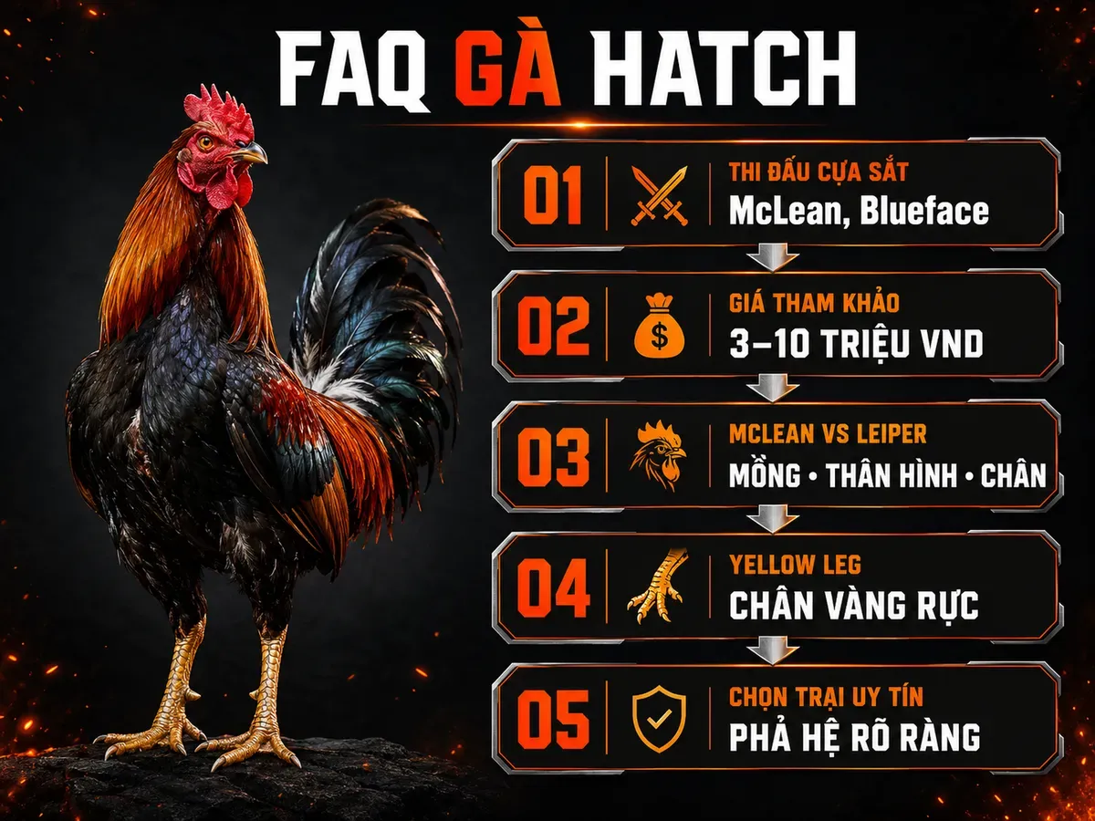 Câu Hỏi Thường Gặp
