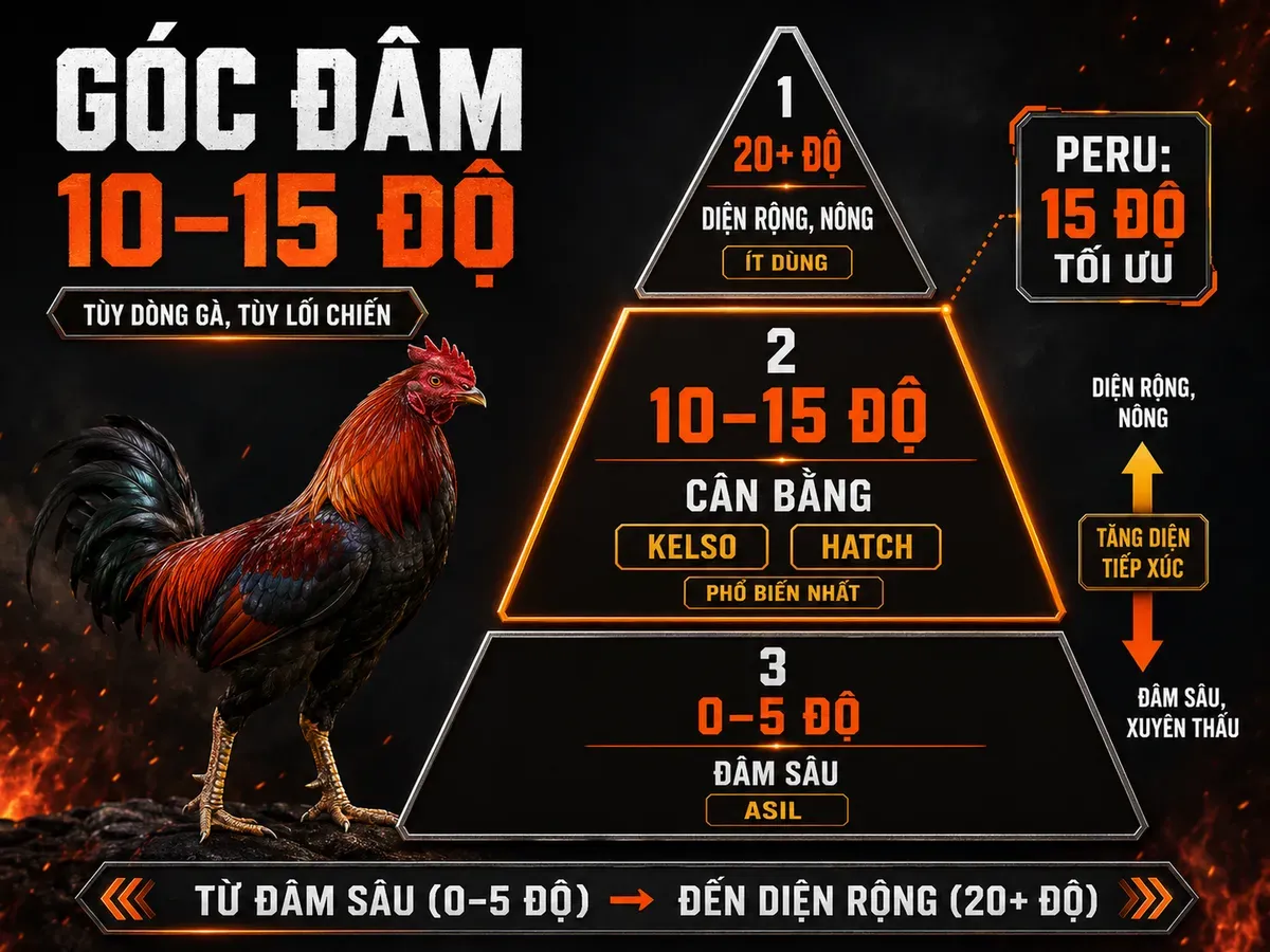 Biểu đồ tháp so sánh góc đâm cựa sắt cho gà chiến Asil Kelso Hatch Peru, vùng tối ưu 10–15 độ.