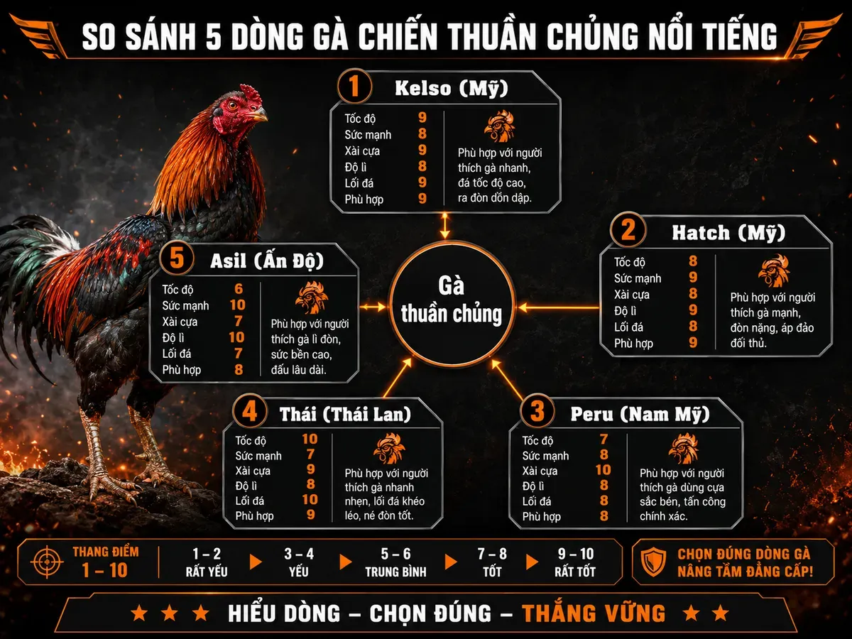 So sánh 5 dòng gà chiến thuần chủng, chỉ số tốc độ, sức mạnh, cựa, độ lì, lối đá, phù hợp với người mới hay kinh nghiệm
