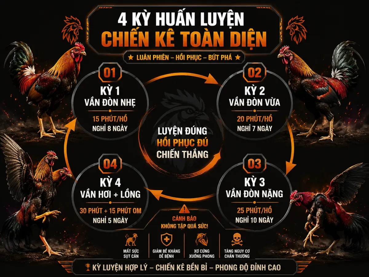 Infographic vòng tròn minh họa 4 kỳ vần gà đá: vần đòn nhẹ, vừa, nặng và vần hơi + lồng, kèm thời lượng và nghỉ