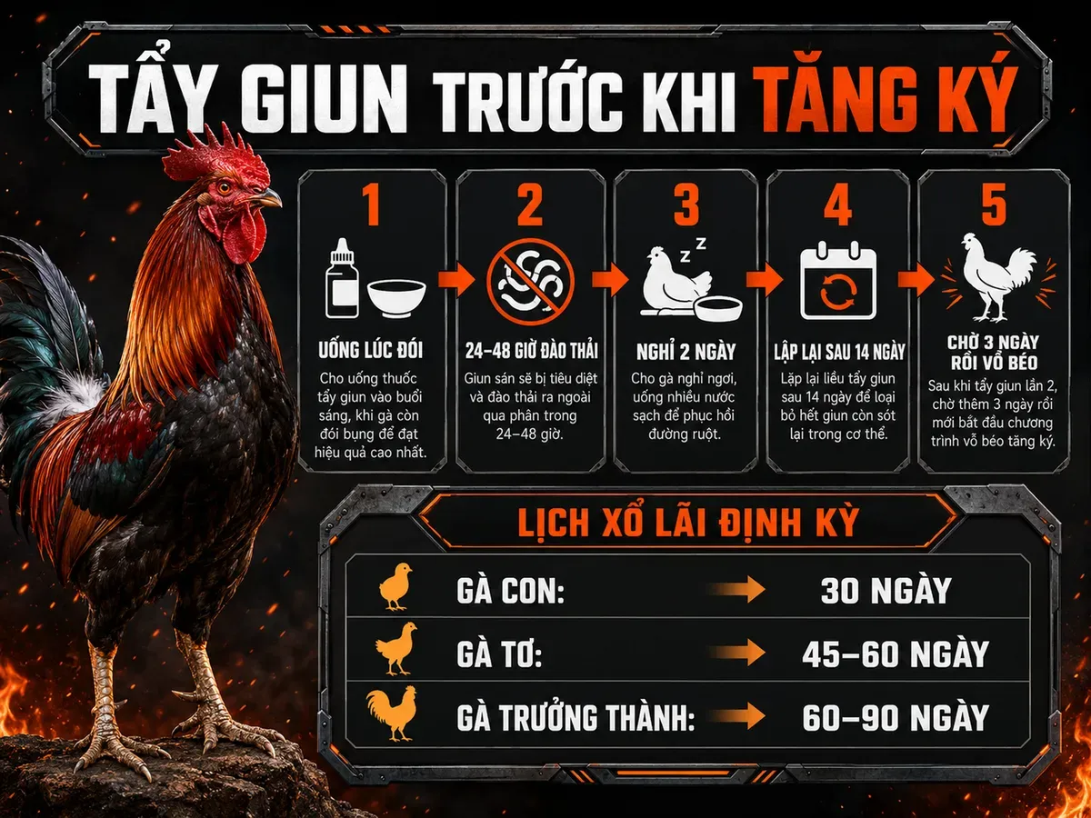 Bước 1 — Tẩy Giun Sán Trước Mọi Chế Độ Ăn