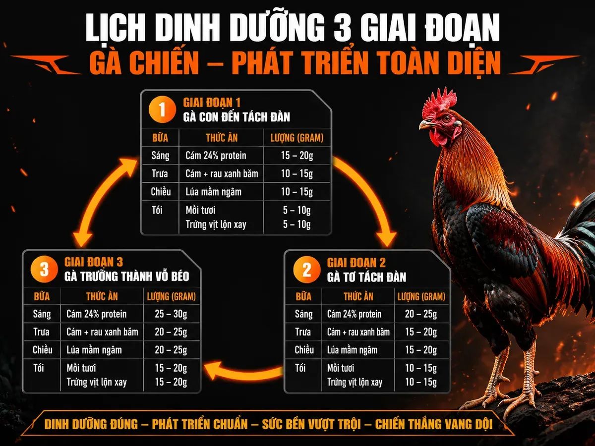 Bước 3 — Khẩu Phần Ăn Theo 3 Giai Đoạn Tuổi