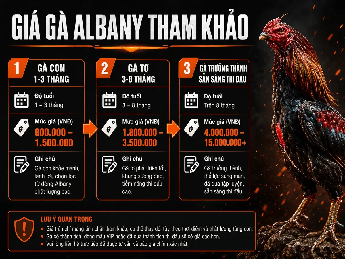 Bảng so sánh giá gà Albany theo độ tuổi và chất lượng cá thể, minh họa gà chiến oai vệ, phong cách dark combat