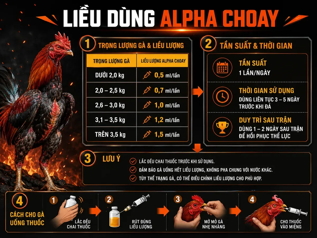 Bảng liều thuốc Alpha Choay cho gà chiến, minh họa trọng lượng, liều, tần suất, thời gian, hướng dẫn uống an toàn