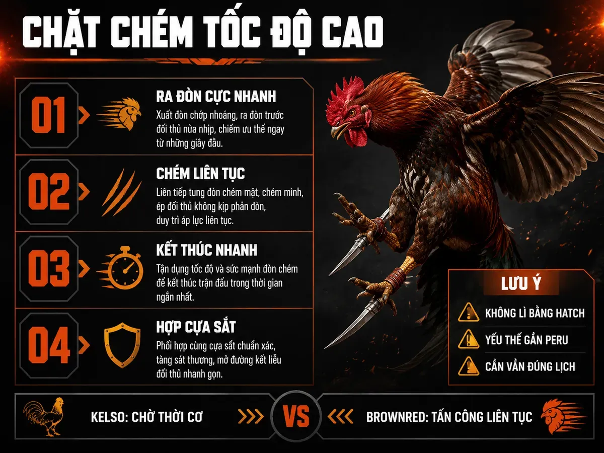 Infographic phong cách chiến đấu Brownred chặt chém tốc độ cao, ưu nhược điểm và kèo đấu phù hợp