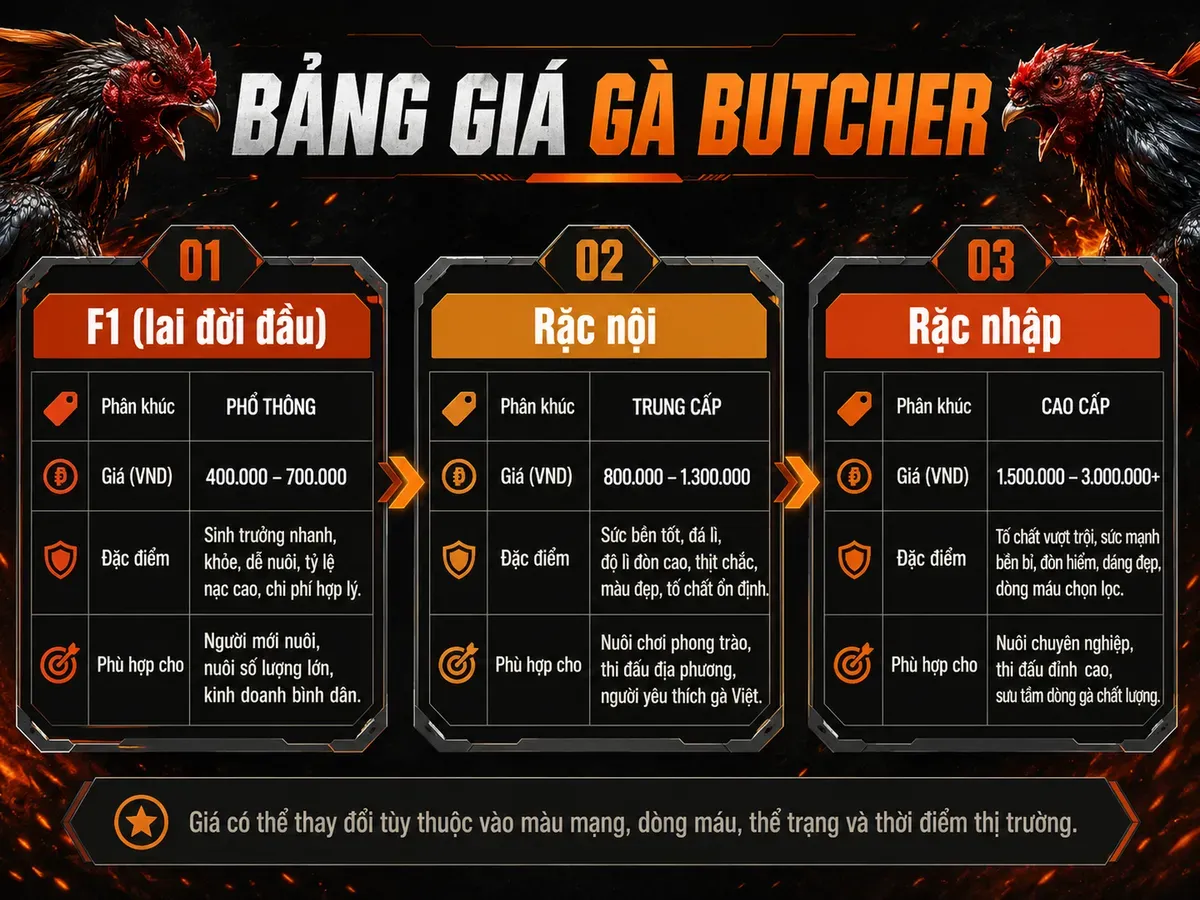 Bảng so sánh giá gà Butcher Việt Nam theo phân khúc F1, Rặc nội và Rặc nhập