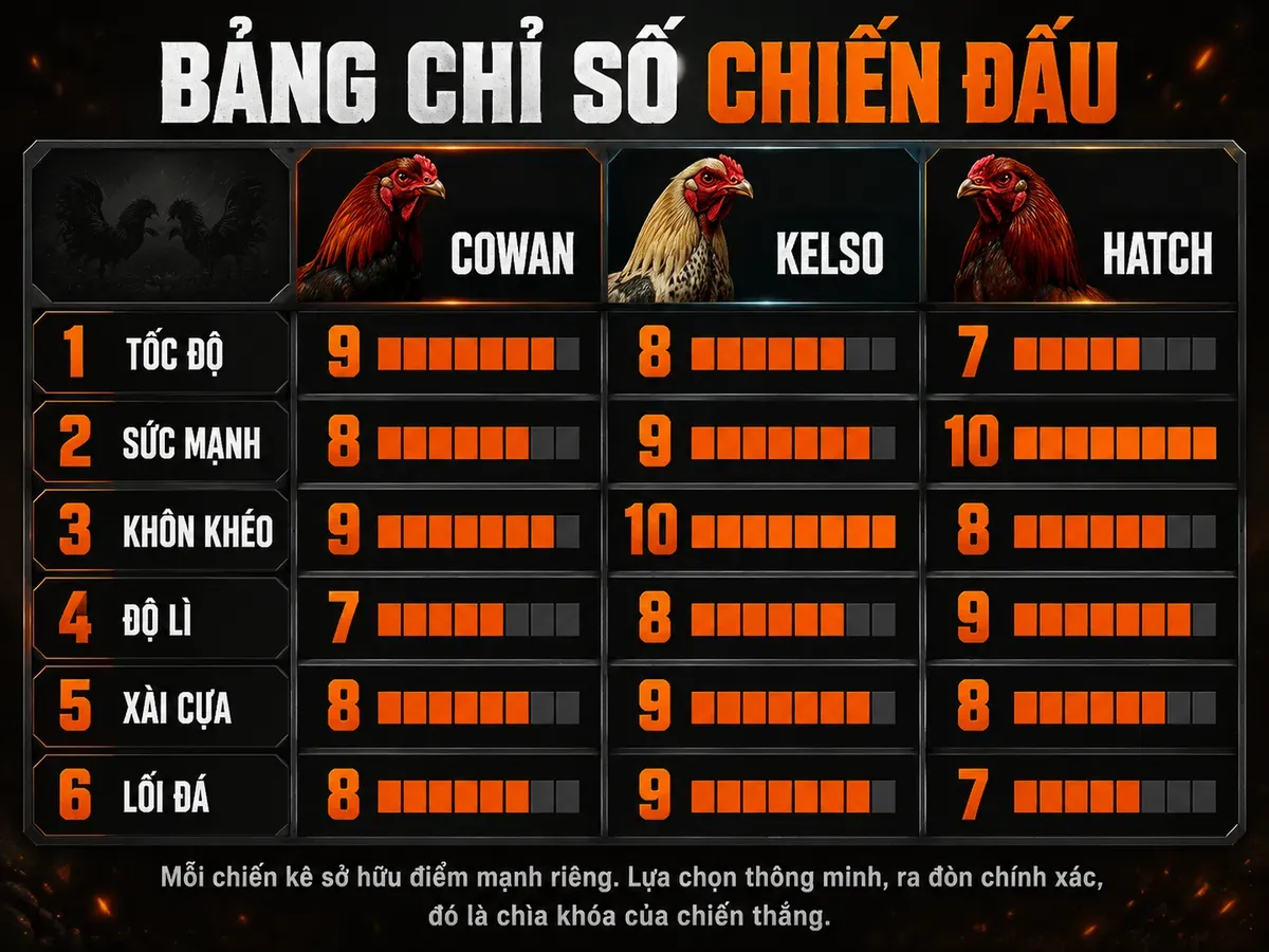 So sánh chiến kê Cowan, Kelso, Hatch qua tốc độ, sức mạnh, khôn khéo, độ lì, xài cựa, lối đá