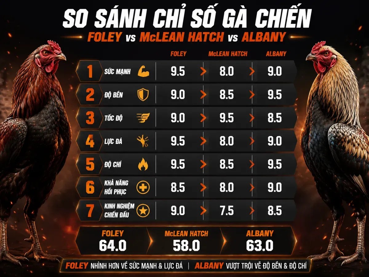 Bảng so sánh chỉ số chiến đấu gà Foley, McLean Hatch và Albany, minh họa phong cách thi đấu thông minh