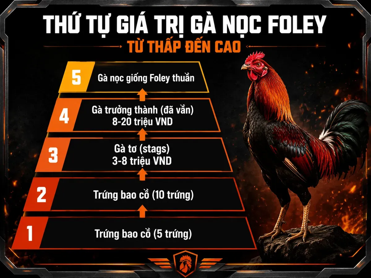 <vi>Infographic phân loại giá gà Foley theo loại và độ tuổi, từ trứng đến gà trưởng thành tại Gò Công</vi>