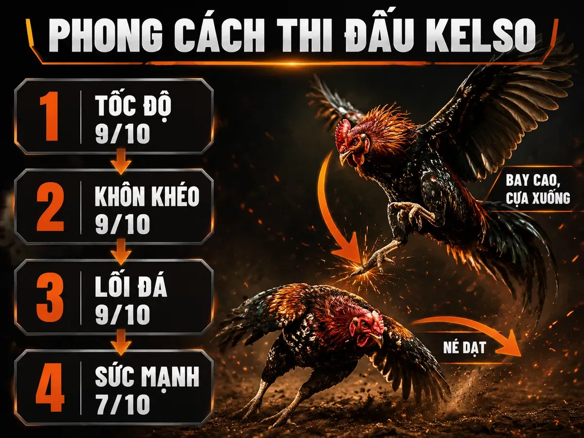 Phong Cách Thi Đấu Của Gà Kelso