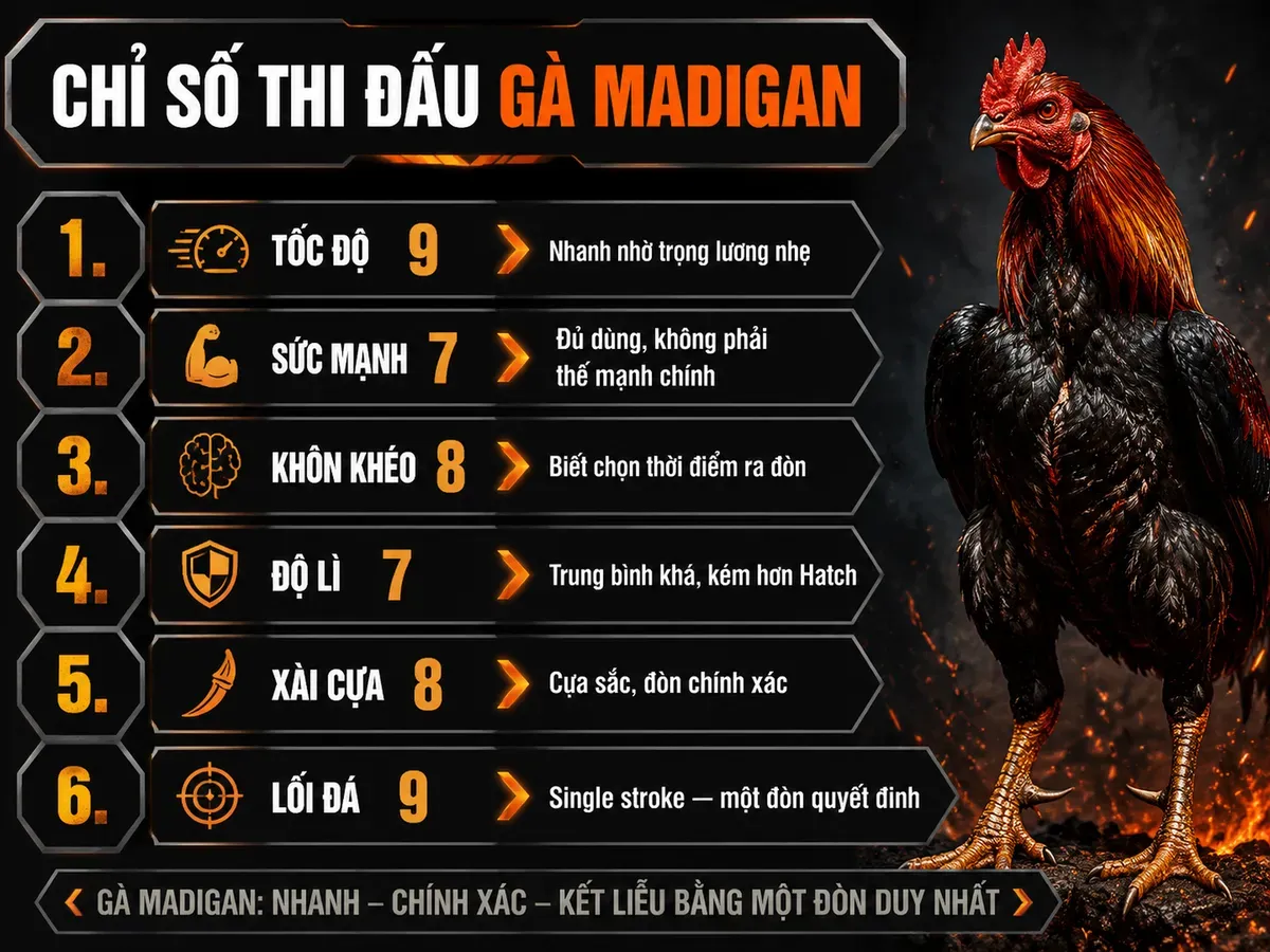 Bảng so sánh chi tiết chỉ số thi đấu Gà Madigan Claret, tốc độ, sức mạnh, lối đá single stroke
