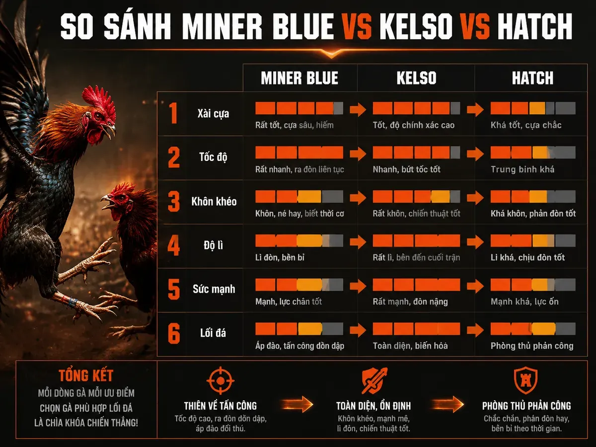 <vi>So sánh phong cách chiến đấu và chỉ số các dòng gà Miner Blue, Kelso, Hatch, infographic cho người nuôi gà chiến</vi>