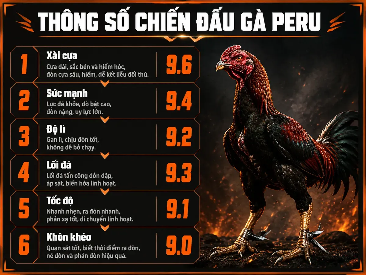 Thông số chiến đấu gà Peru