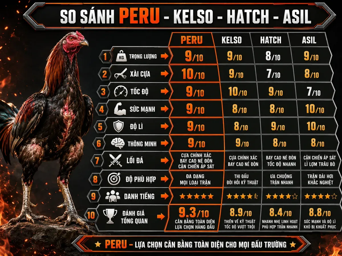 So sánh gà Peru với Kelso, Hatch và Asil