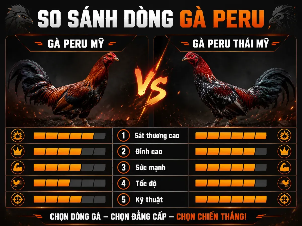 Các dòng gà Peru lai phổ biến tại Việt Nam