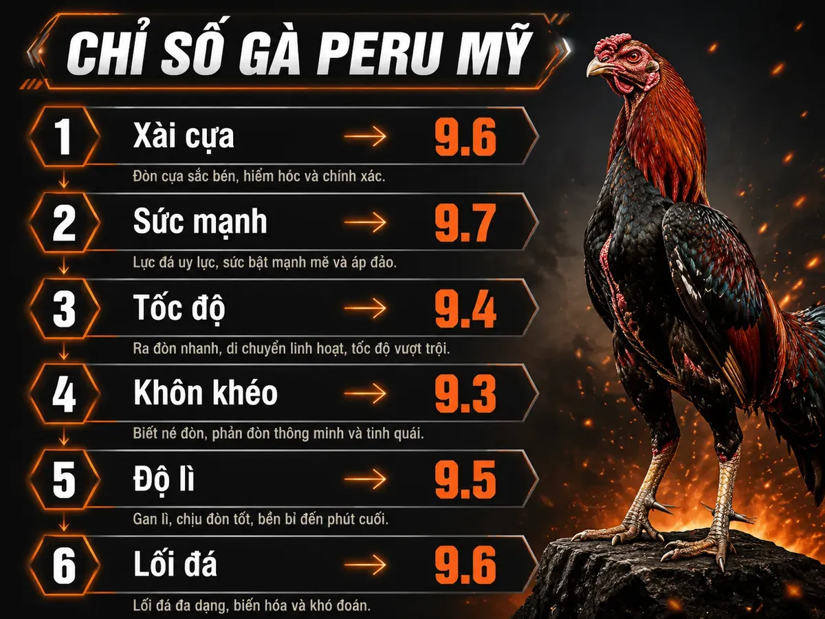 Bảng so sánh chi tiết chỉ số Peru Mỹ: Xài cựa 9/10, Sức mạnh 9/10, Tốc độ 8/10, Khôn khéo 7/10, Độ lì 8/10, Lối đá 8/10, gà oai vệ chiến đấu