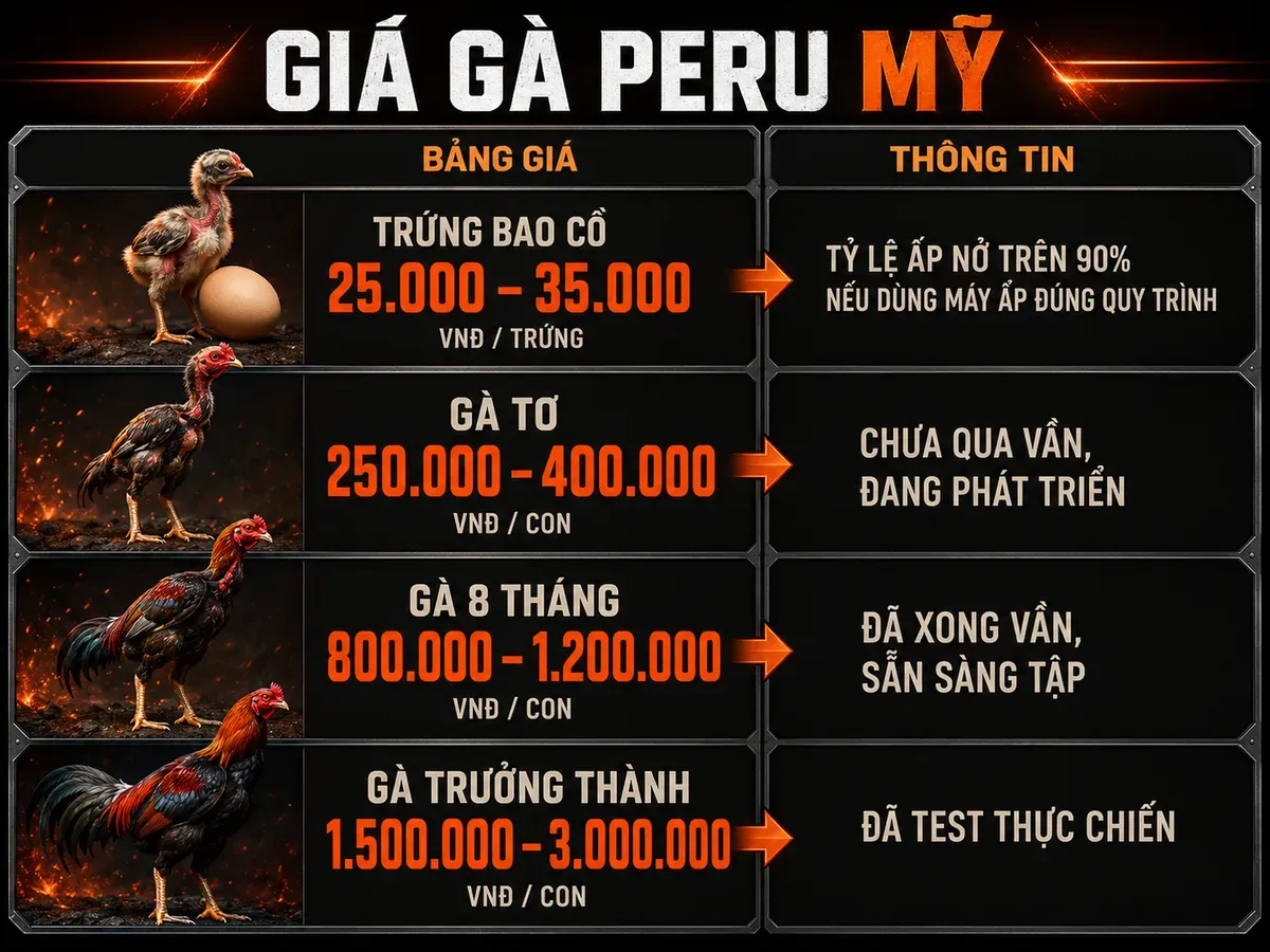 Bảng so sánh giá gà Peru Mỹ theo phân khúc, có nhãn dòng máu, tuổi và trại uy tín, nền tối combat