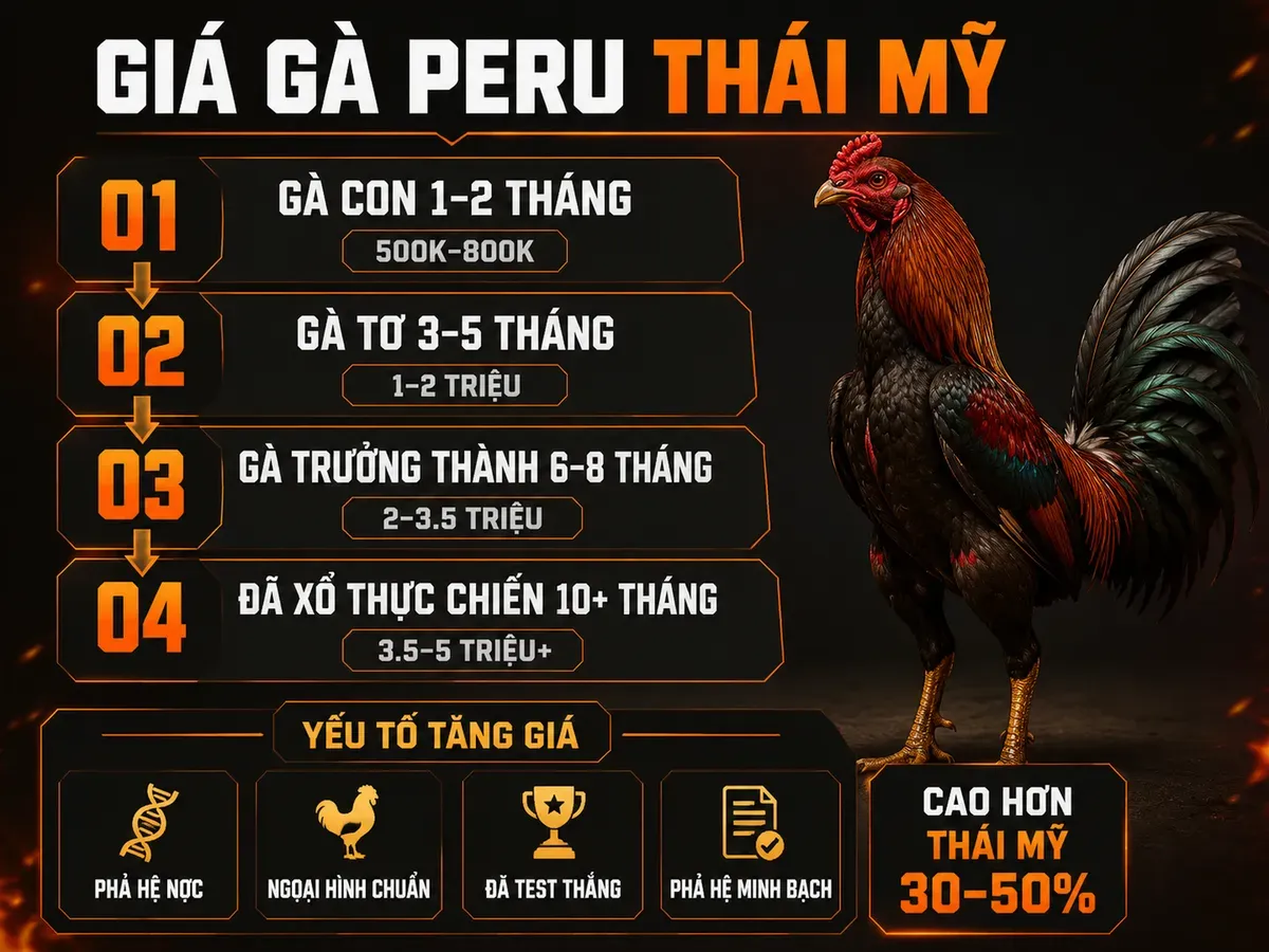 Infographic giá gà Peru Thái Mỹ theo độ tuổi và yếu tố ảnh hưởng giá