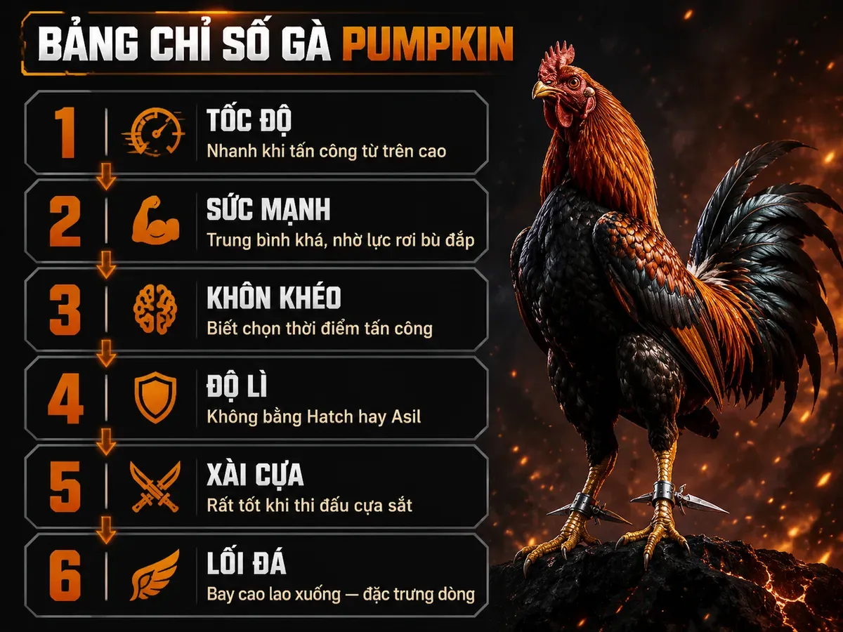 Bảng đánh giá chỉ số gà chiến Pumpkin với 6 thông số và chú thích, phong cách mạnh mẽ, oai vệ, nền tối có điểm lửa nhẹ, infographic dạng vertical list