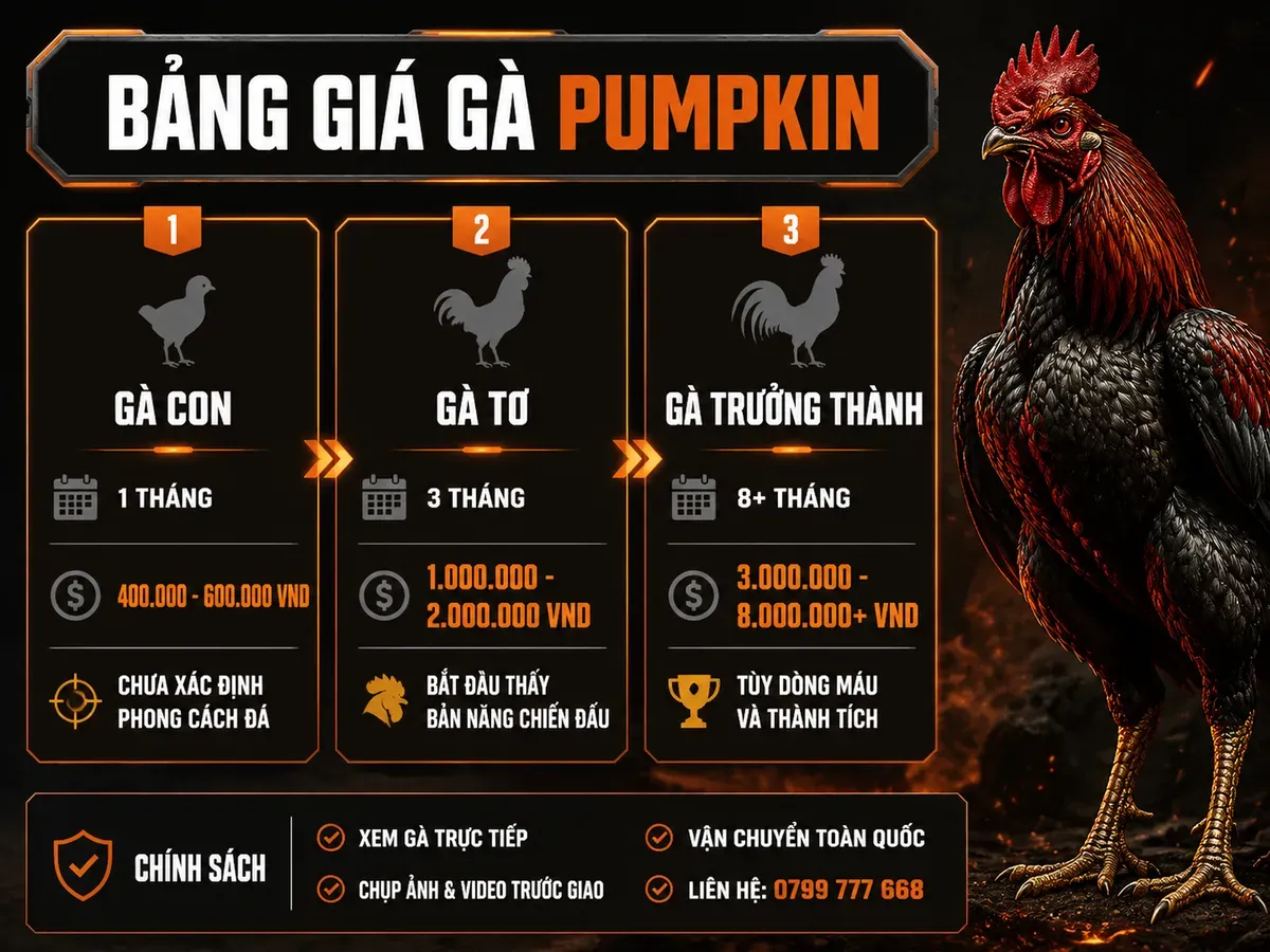 bảng giá gà pumpkin theo tuổi và chính sách mua tại nghĩa gò công
