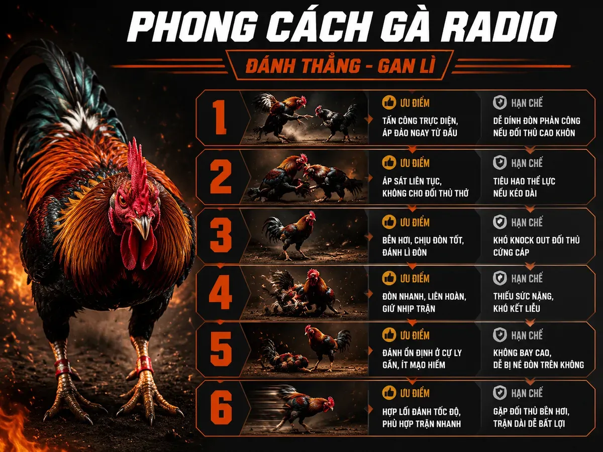 Infographic phong cách chiến đấu gà Radio với ưu điểm tấn công trực diện, bền hơi và các hạn chế thể trạng