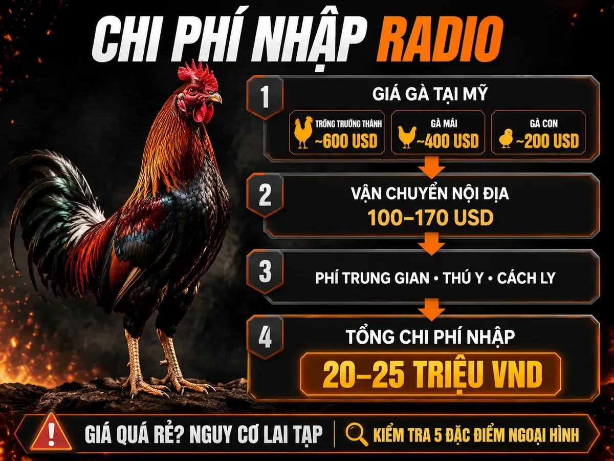 Infographic chi phí nhập khẩu gà Radio từ Mỹ về Việt Nam và cảnh báo nhận biết giá bất thường