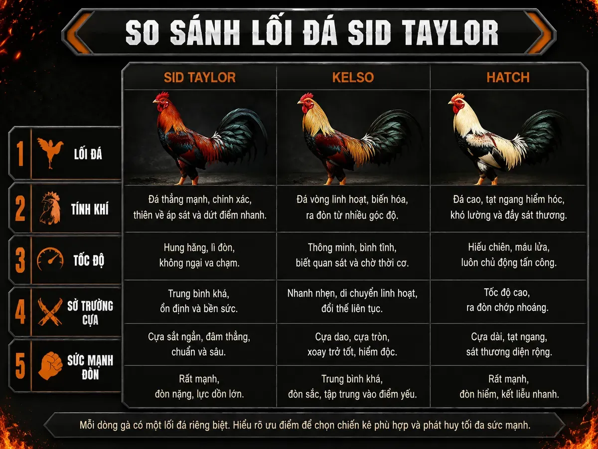So sánh lối đá và tính khí Sid Taylor, Kelso, Hatch với hình gà chiến oai vệ
