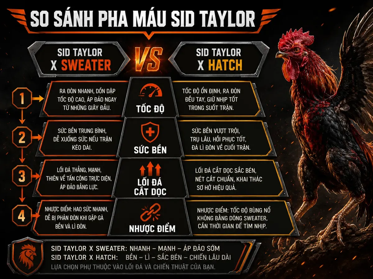 So sánh hai công thức pha máu Sid Taylor x Sweater và Sid Taylor x Hatch, thể hiện đặc điểm tốc độ, sức bền và lối đá cắt dọc của gà F1