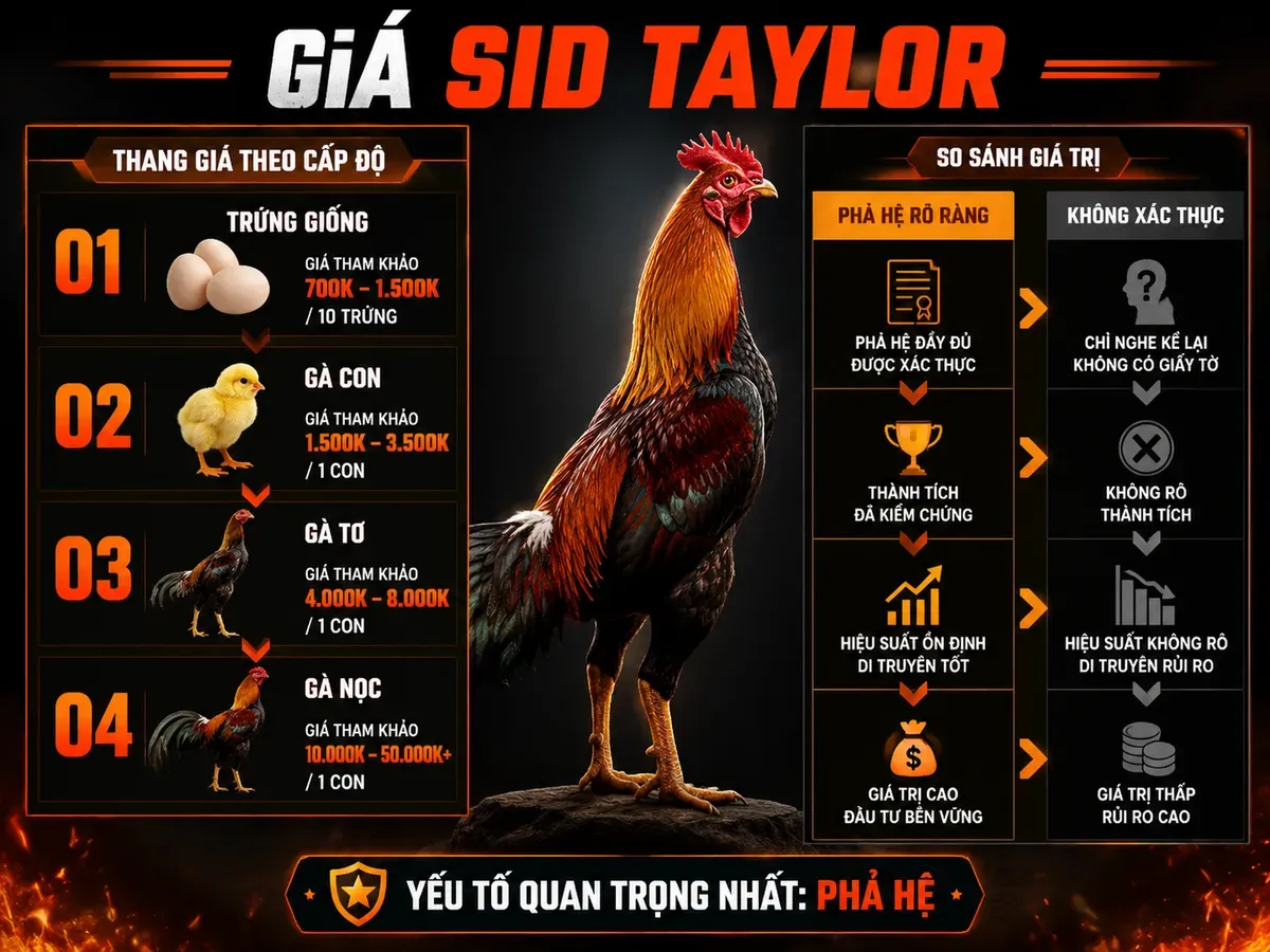 So sánh giá gà Sid Taylor theo từng giai đoạn và ảnh hưởng của phả hệ thuần chủng