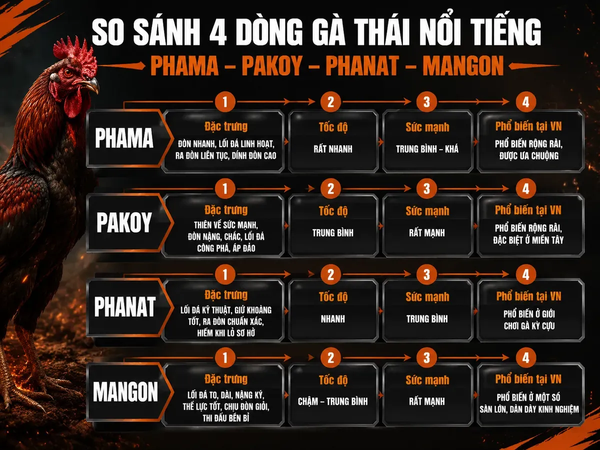 Các nhánh gà Thái phổ biến: Phama, Pakoy, Phanat, Mangon, đặc trưng và sức mạnh