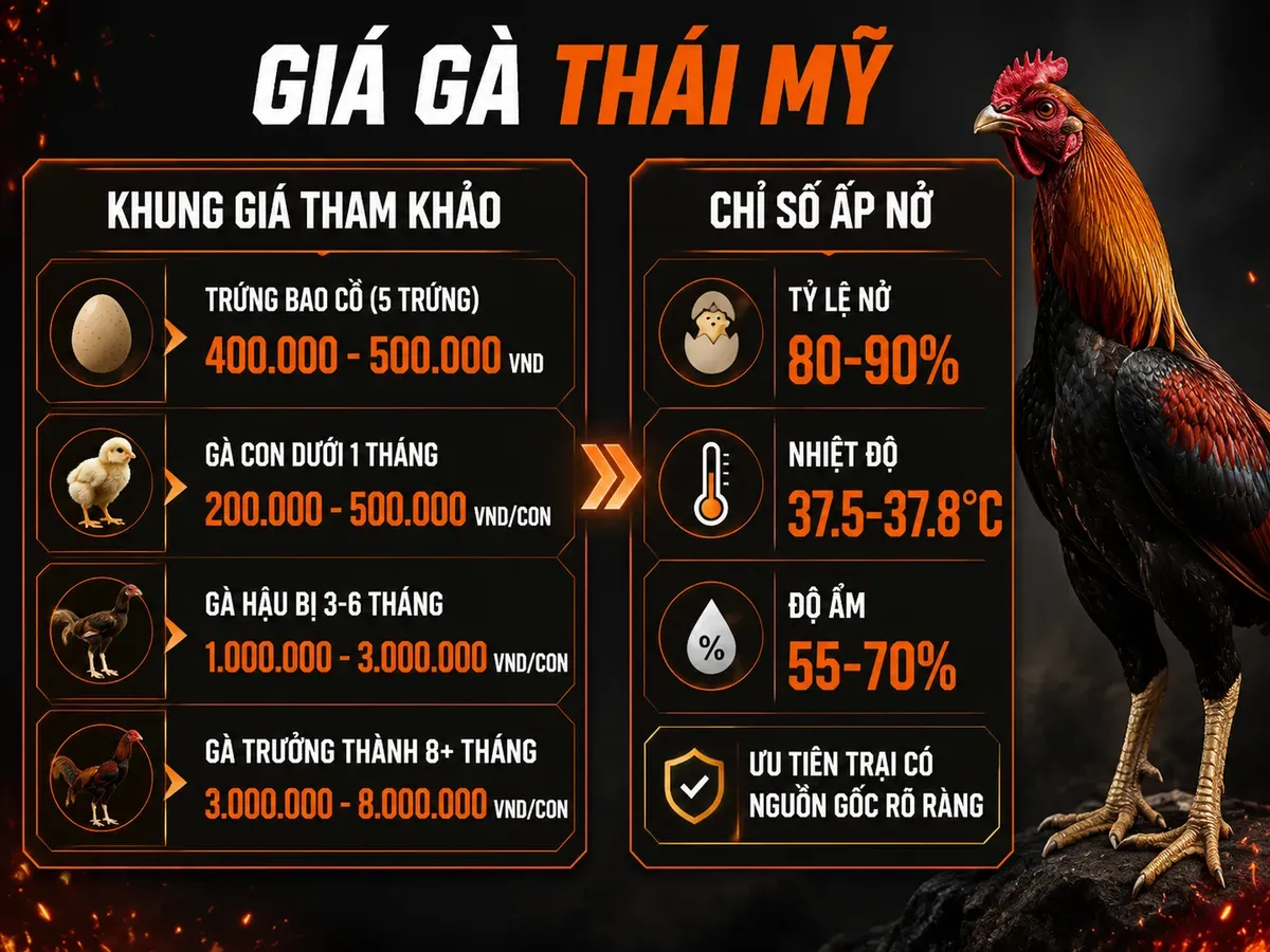 Infographic giá gà Thái Mỹ và trứng bao cồ tham khảo, khung giá theo độ tuổi cùng tỷ lệ ấp nở và thông số ấp chuẩn.