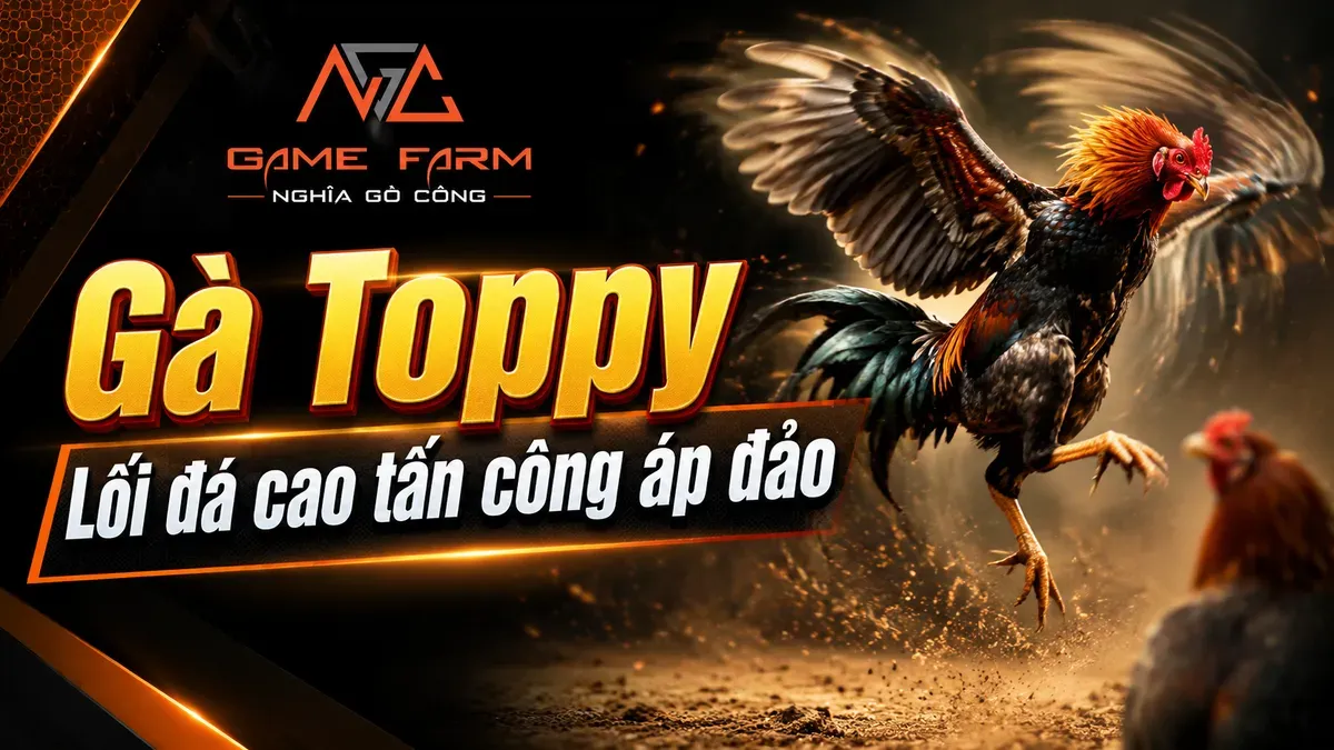 Gà Toppy — Dòng Ginn Grey Di Sản Quý Hiếm Từ Nước Mỹ