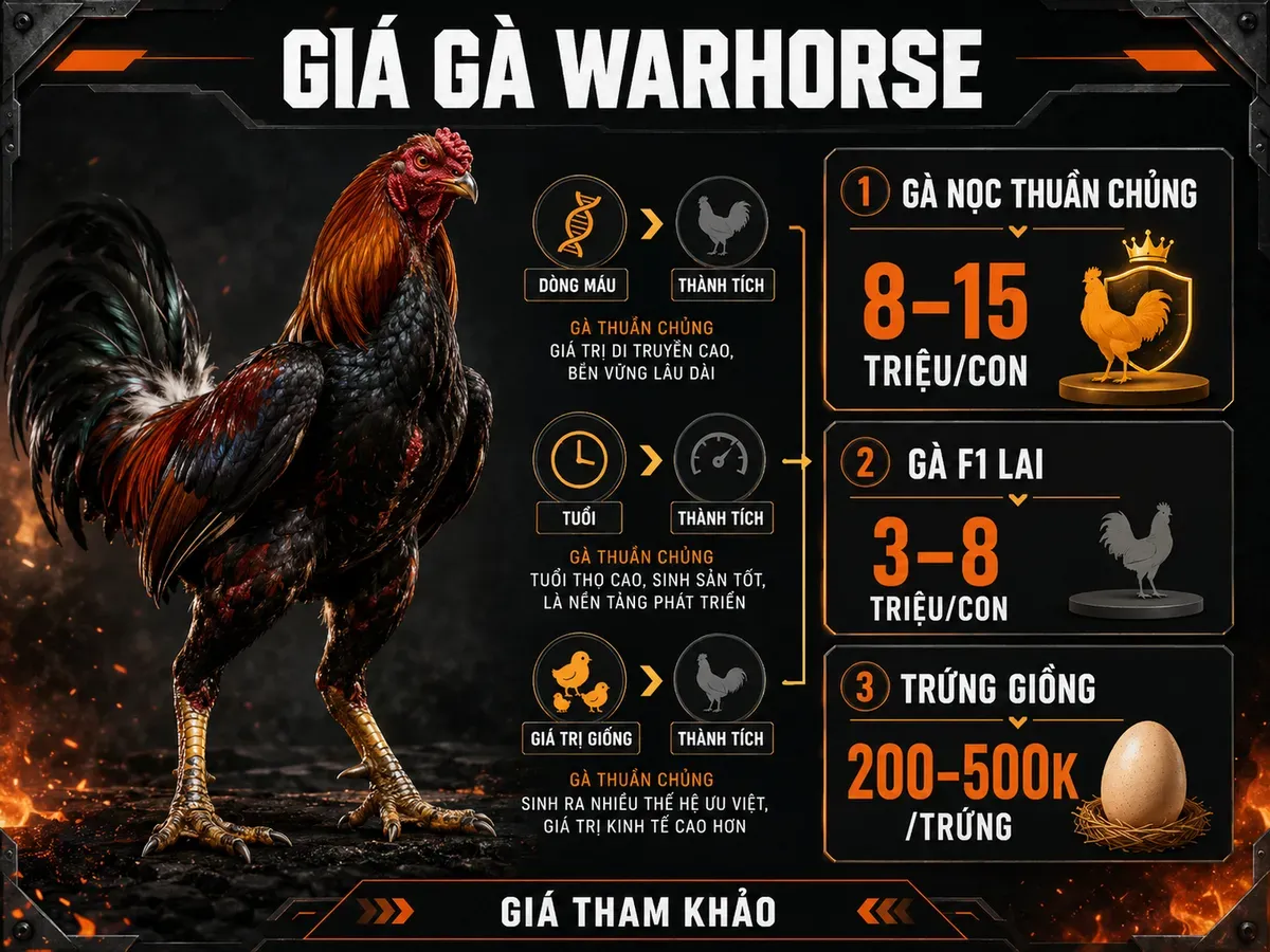 Infographic bảng giá tham khảo gà Warhorse gồm gà nọc thuần chủng, gà F1 lai và trứng giống