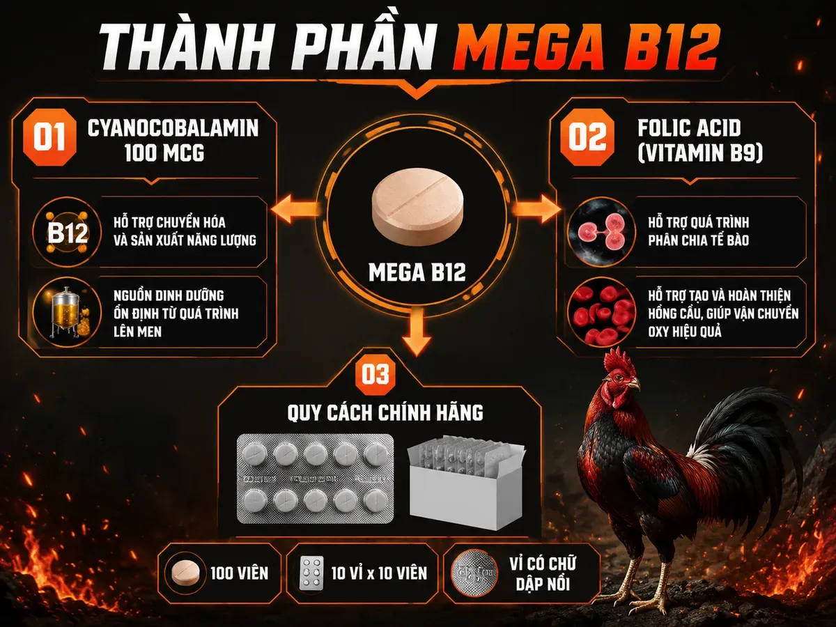 Infographic thành phần Mega B12 cho gà chiến gồm Vitamin B12, Folic Acid và dấu hiệu nhận diện bao bì chính hãng.