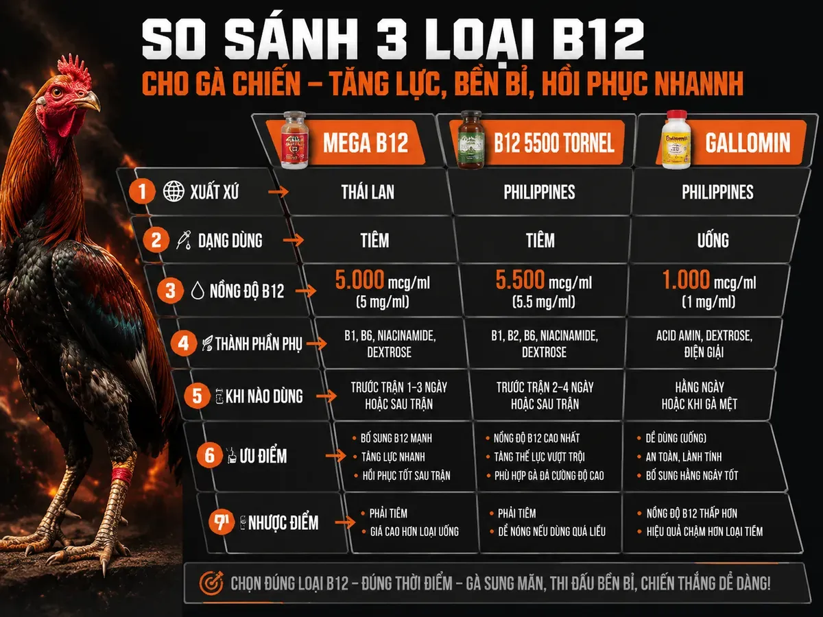 So sánh Mega B12, B12 5500 Tornel và Gallomin cho gà chiến, phân loại công dụng, nồng độ, ưu nhược điểm