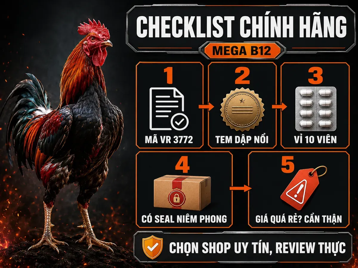 Infographic nhận biết Mega B12 Tatak Excellence chính hãng qua mã VR 3772, tem dập nổi, vỉ 10 viên, seal niêm phong và giá tham khảo.