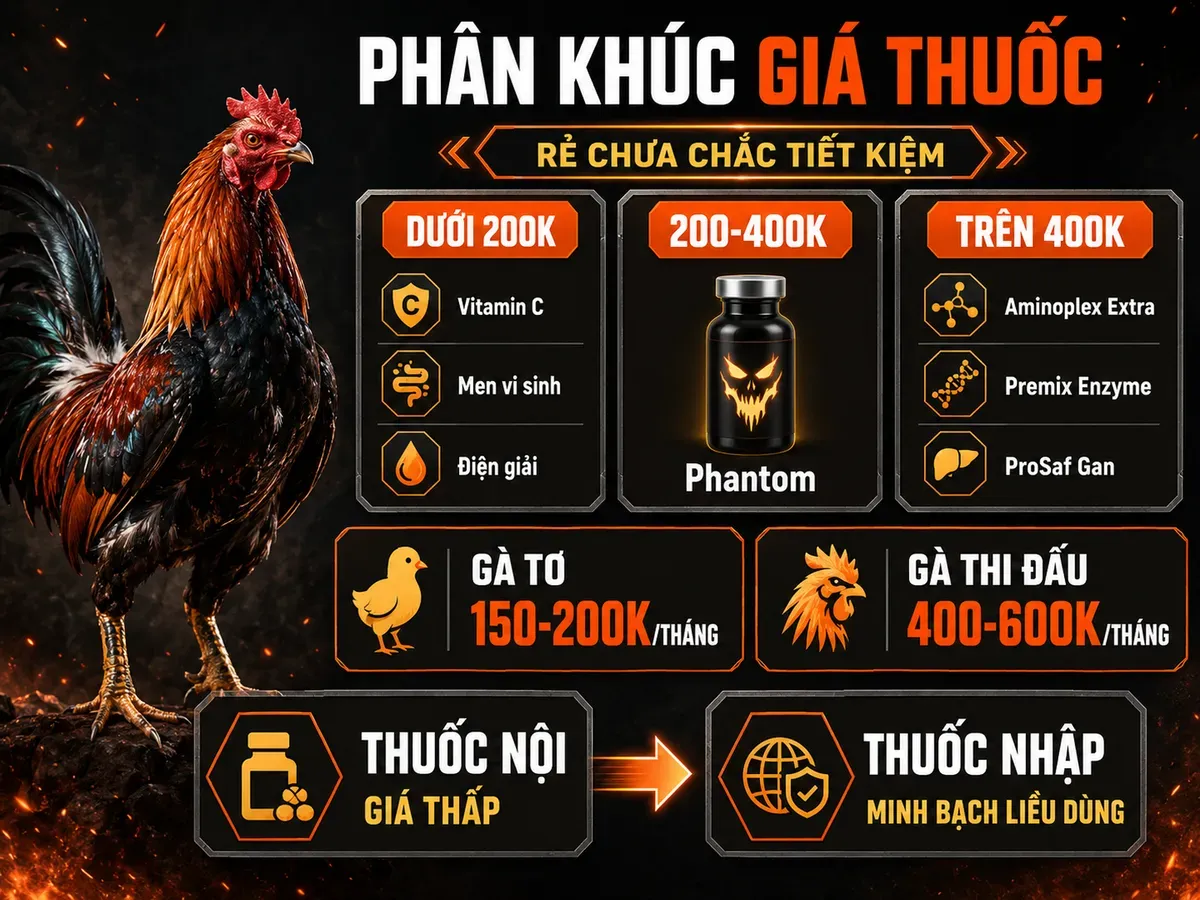 So sánh phân khúc giá thuốc cho gà chiến, chi phí nuôi hàng tháng và hiệu quả thuốc nội, thuốc nhập khẩu