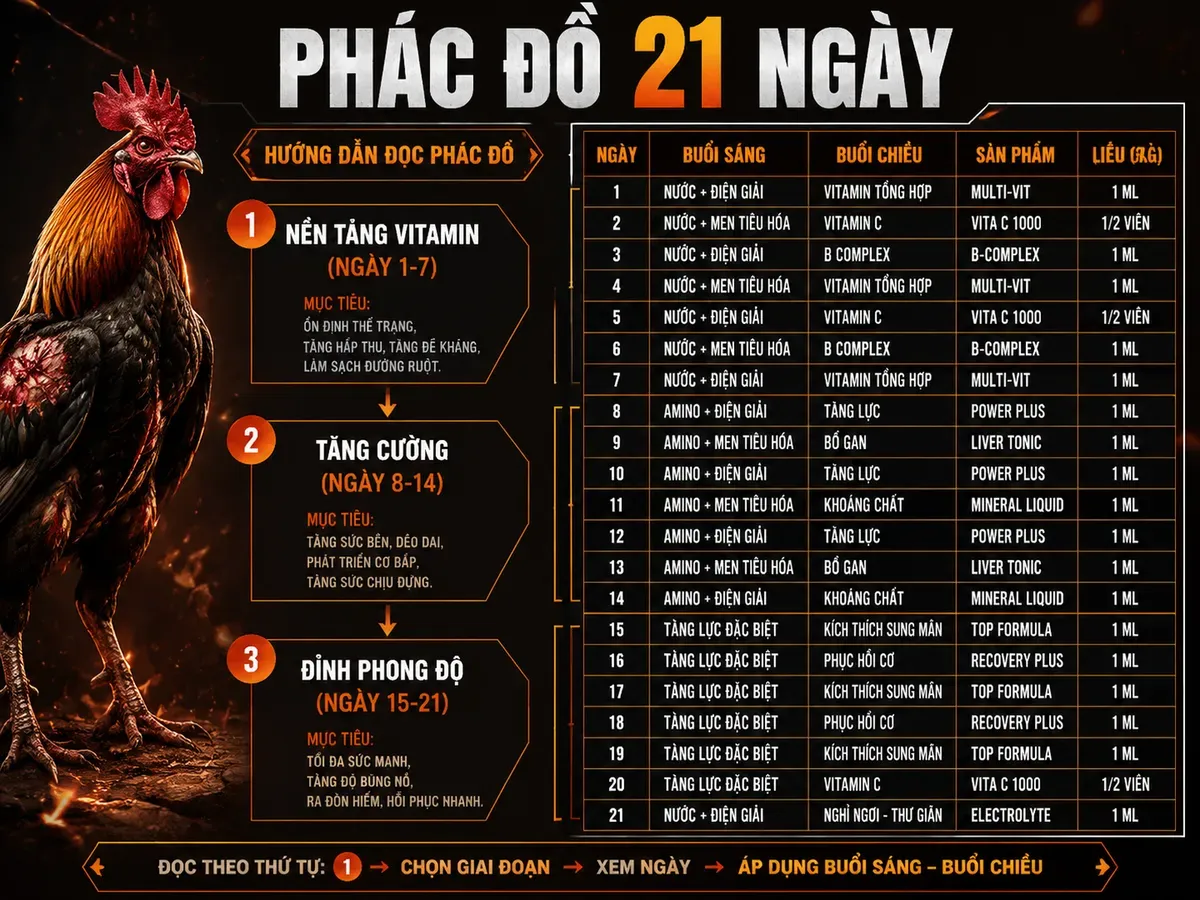 Phác đồ 21 ngày thuốc cho gà chiến: chia 3 giai đoạn, liều dùng sản phẩm, Vitamin C, Mega B12, Aminoplex, Phantom