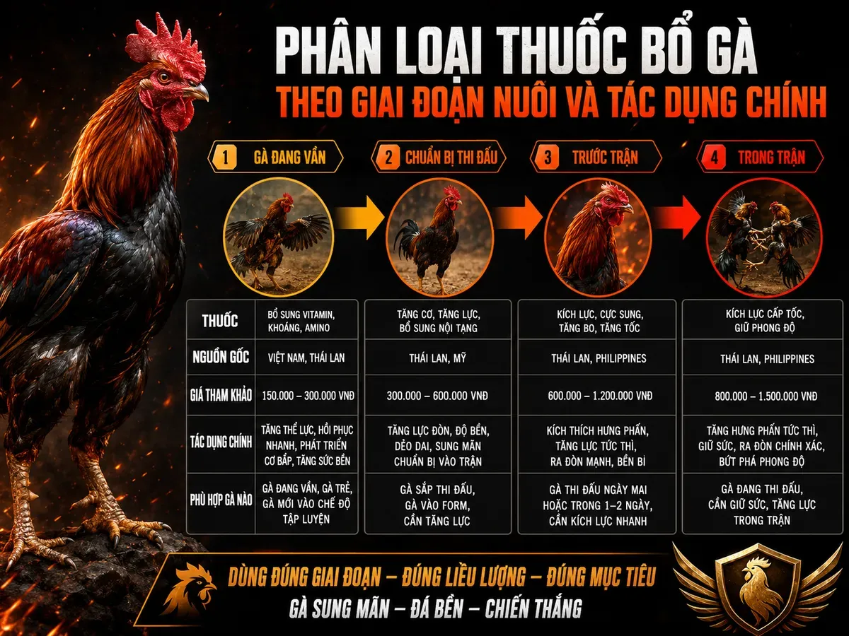 Bảng so sánh 4 loại thuốc bổ gà chiến với thông tin nguồn gốc, giá, tác dụng và giai đoạn sử dụng