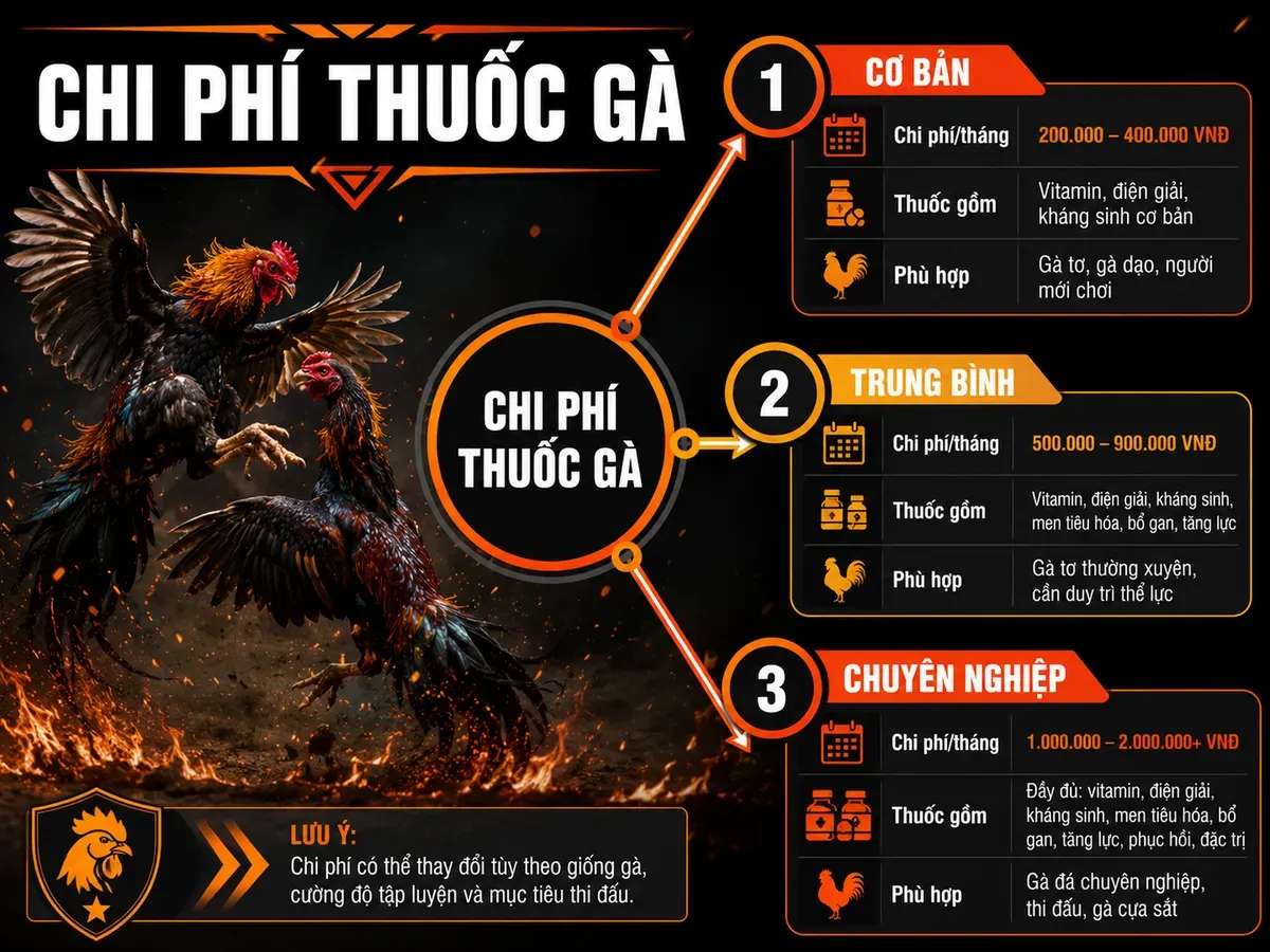 Dự toán chi phí thuốc gà chiến theo tháng, phân loại Cơ bản, Trung bình, Chuyên nghiệp, dễ đọc cho người nuôi gà chiến