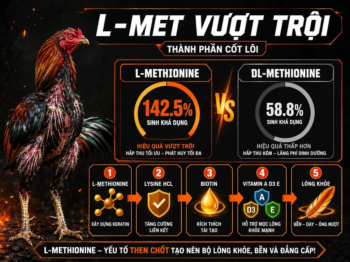 So sánh L-Methionine và DL-Methionine cùng các thành phần cốt lõi trong thuốc kích lông gà đá