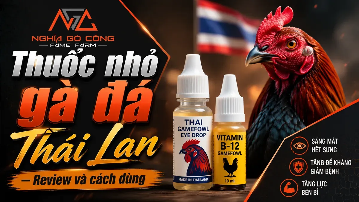 Thuốc Nhỏ Gà Thái Lan: Review 5 Dòng Phổ Biến, Liều Dùng & Cách Chọn (2026)