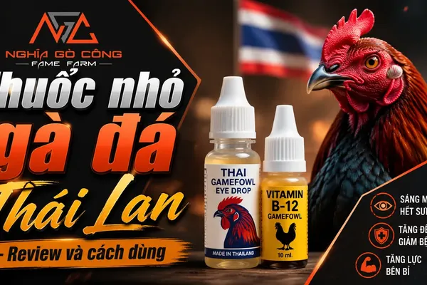 Thuốc Nhỏ Gà Thái Lan: Review 5 Dòng Phổ Biến, Liều Dùng & Cách Chọn (2026)