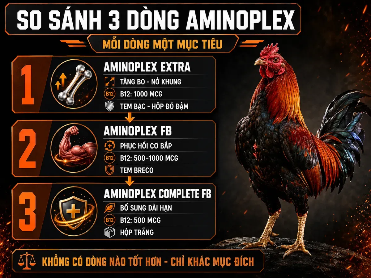 So sánh Aminoplex Extra, Aminoplex FB và Aminoplex Complete FB cho gà đá theo mục đích sử dụng và đặc điểm nhận diện