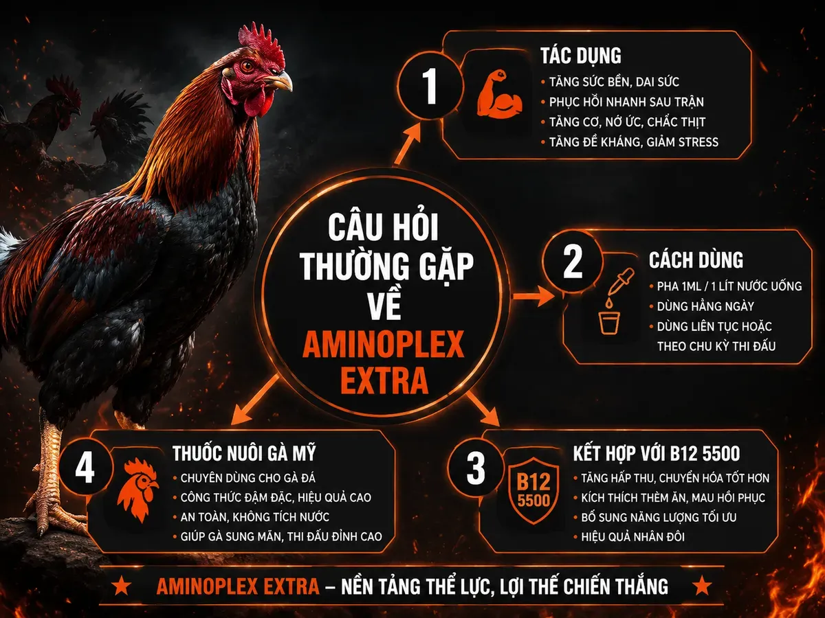 Minh hoạ FAQ Aminoplex Extra cho gà chiến, infographic radial hub-and-spoke, dark combat style