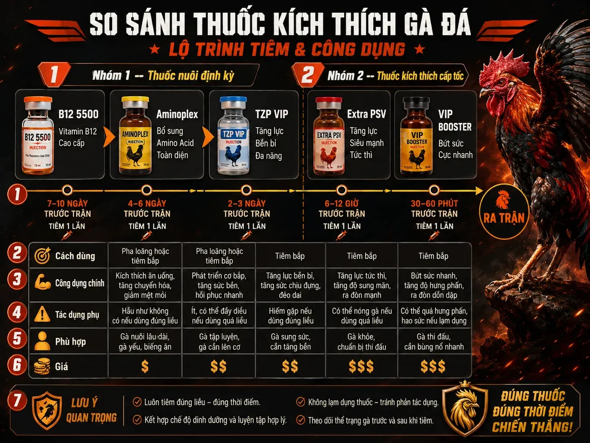 So sánh thuốc kích thích gà chiến B12 5500, Aminoplex, TZP VIP, Extra PSV với thời gian tiêm, tác dụng và rủi ro