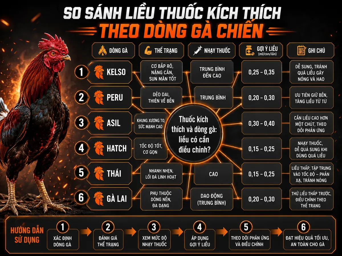 Sơ đồ phân loại gà chiến theo dòng và liều thuốc kích thích, trực quan dễ hiểu